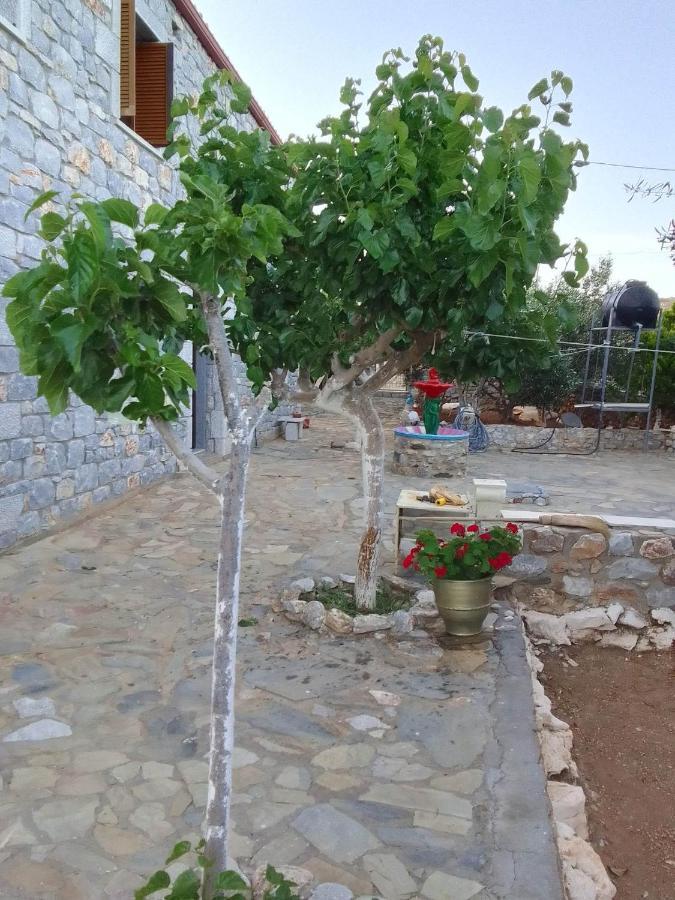 Akrotirio Tainaro House Vakantiehuis *